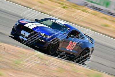 media/May-10-2025-Cobra Club (Sat) [[7b9c5022b1]]/Passenger/